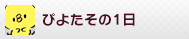 ぴよたその一日